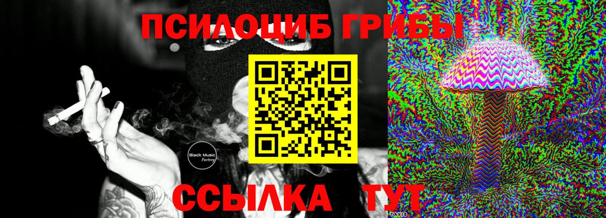 Светлоград  Псилоцибиновые грибы ЛСД  Вход с VPN 