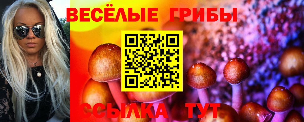 Галлюциногенные грибы ЛСД Светлоград